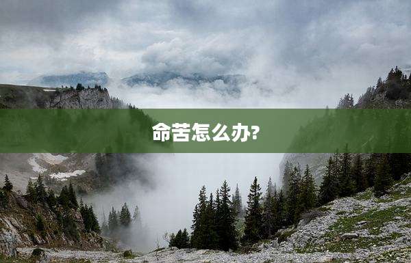 命苦怎么办?