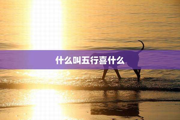 什么叫五行喜什么