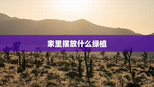 家里摆放什么绿植