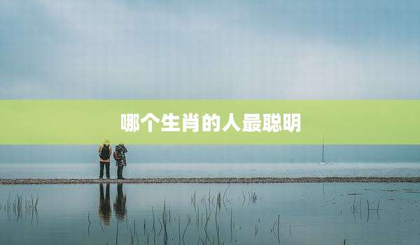 哪个生肖的人最聪明