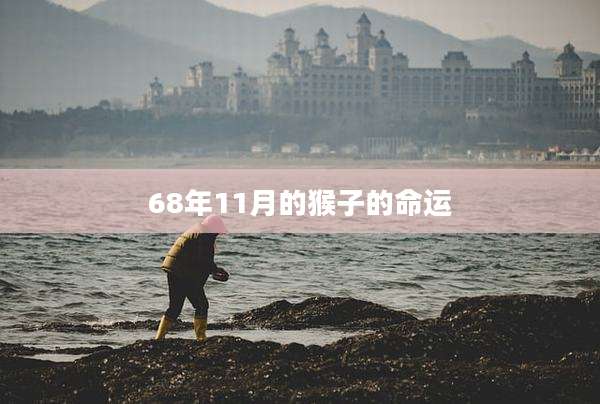 68年11月的猴子的命运