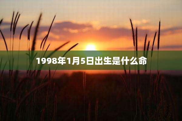 1998年1月5日出生是什么命
