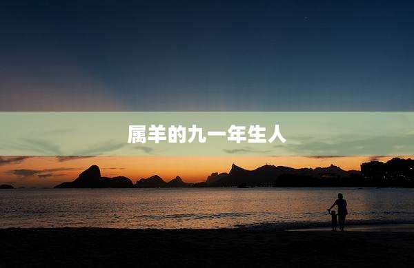 属羊的九一年生人