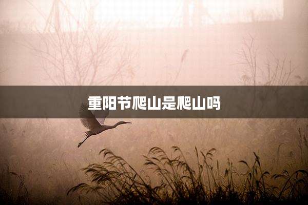 重阳节爬山是爬山吗