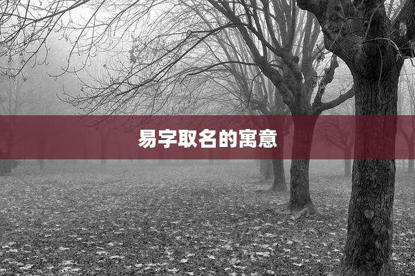 易字取名的寓意
