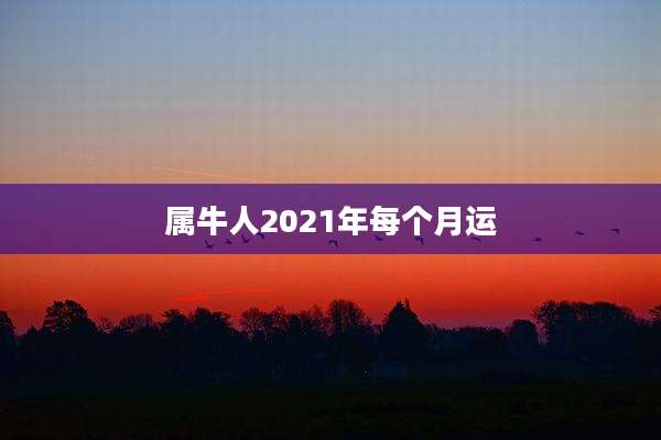 属牛人2021年每个月运