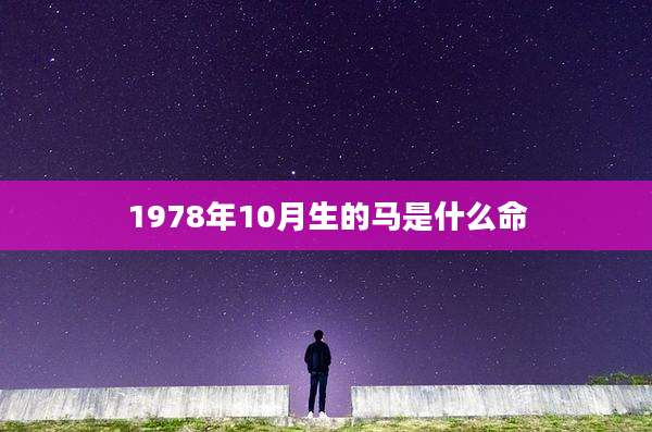 1978年10月生的马是什么命