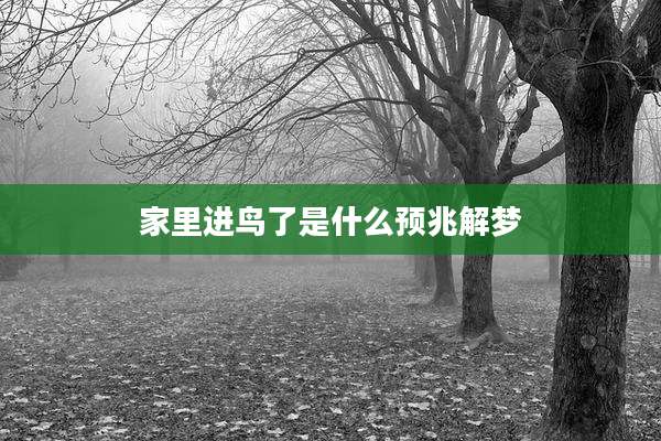 家里进鸟了是什么预兆解梦