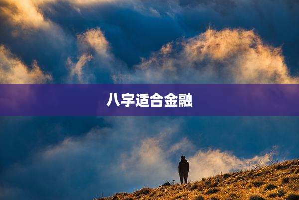 八字适合金融