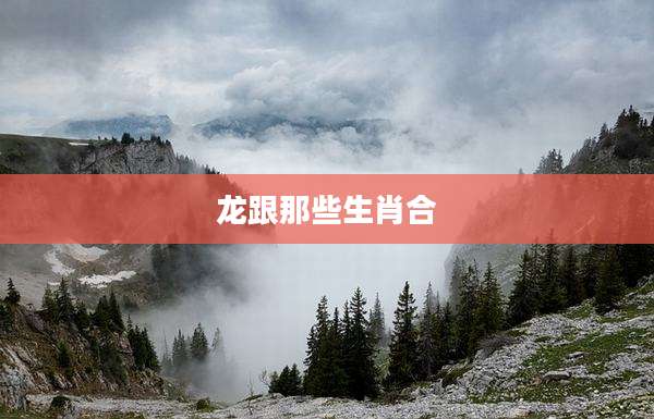 龙跟那些生肖合