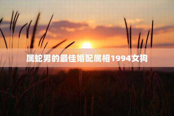 属蛇男的最佳婚配属相1994女狗