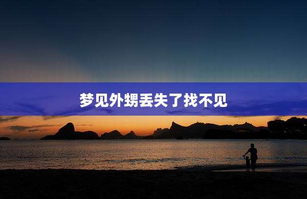 梦见外甥丢失了找不见