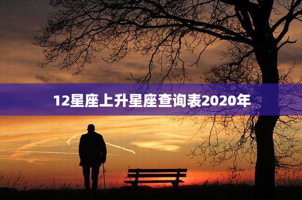 12星座上升星座查询表2020年