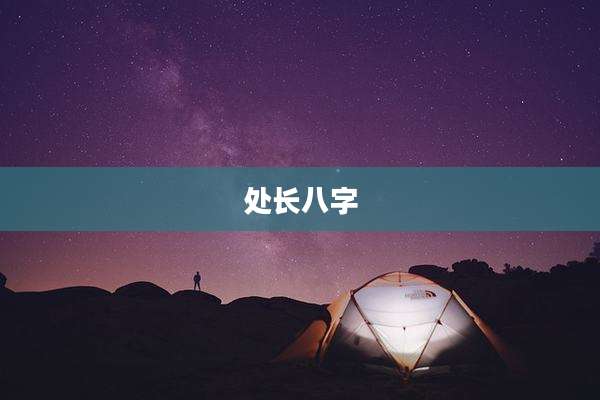处长八字
