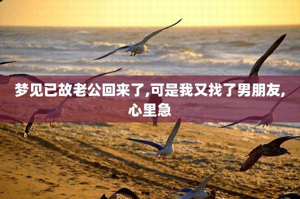 梦见已故老公回来了,可是我又找了男朋友,心里急