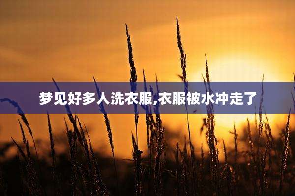 梦见好多人洗衣服,衣服被水冲走了