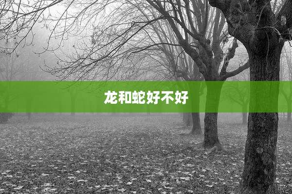 龙和蛇好不好