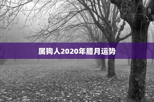 属狗人2020年腊月运势