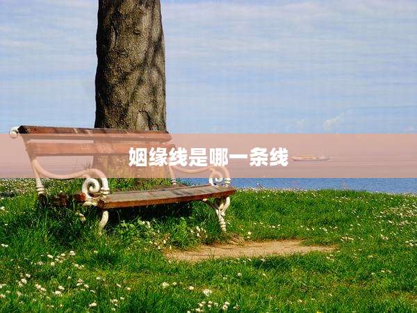 姻缘线是哪一条线