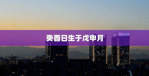 癸酉日生于戊申月