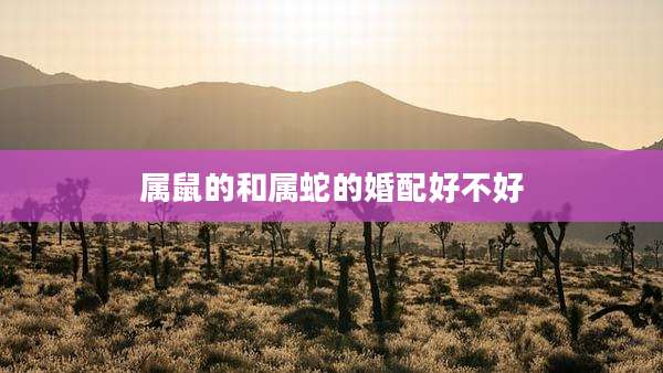 属鼠的和属蛇的婚配好不好