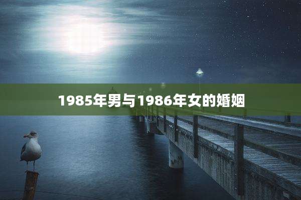 1985年男与1986年女的婚姻