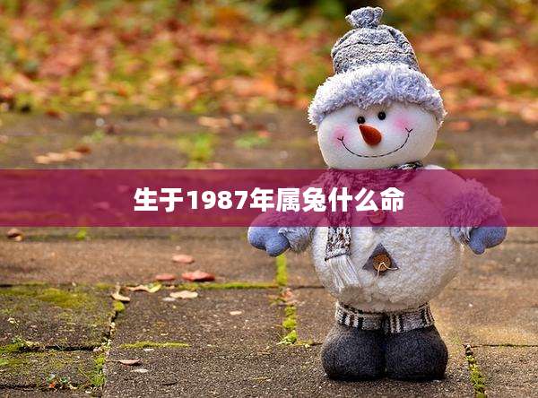 生于1987年属兔什么命