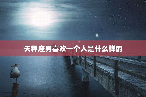 天秤座男喜欢一个人是什么样的