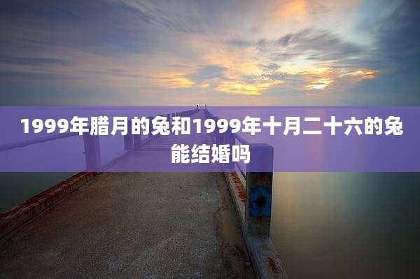 1999年腊月的兔和1999年十月二十六的兔能结婚吗
