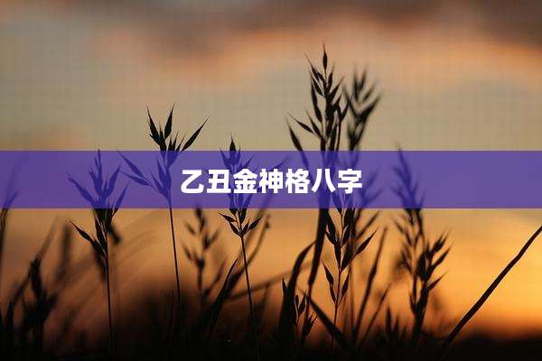 乙丑金神格八字