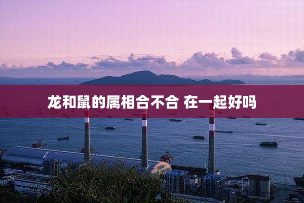 龙和鼠的属相合不合 在一起好吗