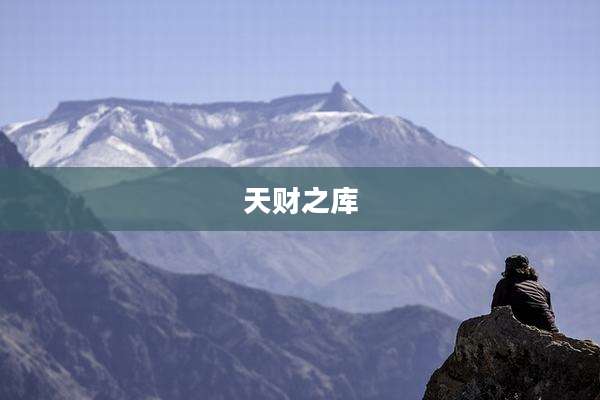 天财之库