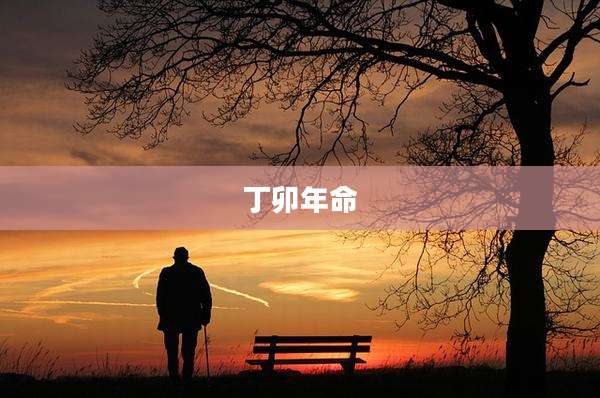 丁卯年命
