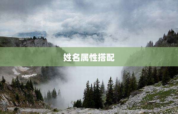姓名属性搭配
