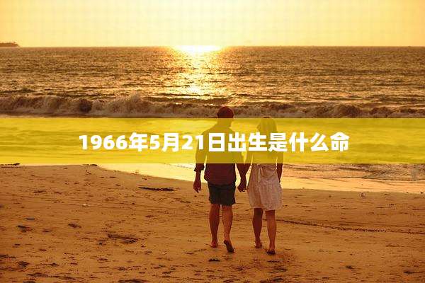 1966年5月21日出生是什么命