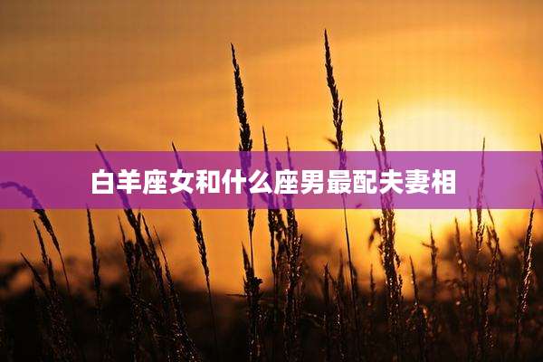 白羊座女和什么座男最配夫妻相