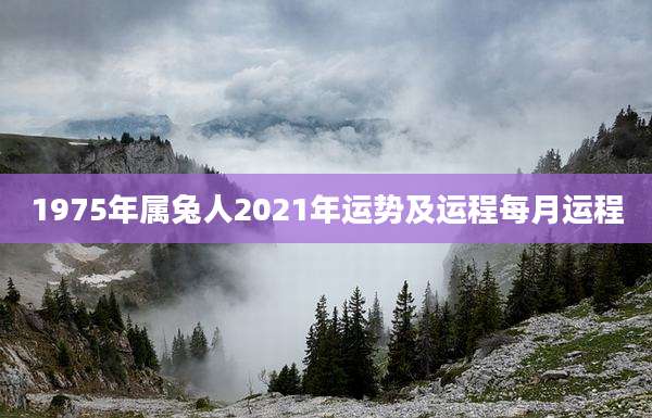 1975年属兔人2021年运势及运程每月运程