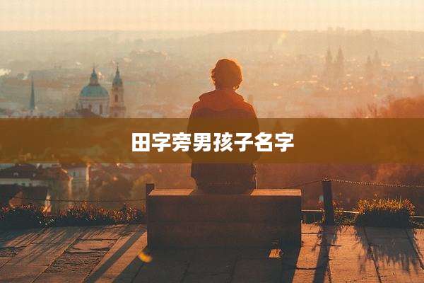 田字旁男孩子名字