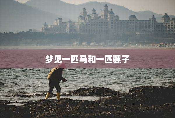 梦见一匹马和一匹骡子