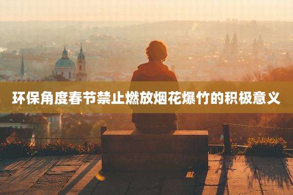 环保角度春节禁止燃放烟花爆竹的积极意义