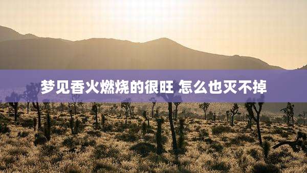 梦见香火燃烧的很旺 怎么也灭不掉