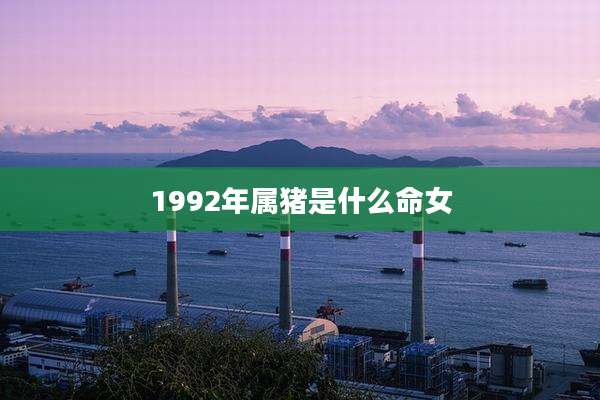 1992年属猪是什么命女