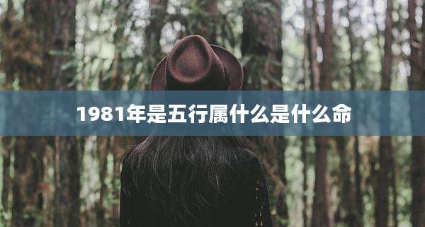 1981年是五行属什么是什么命