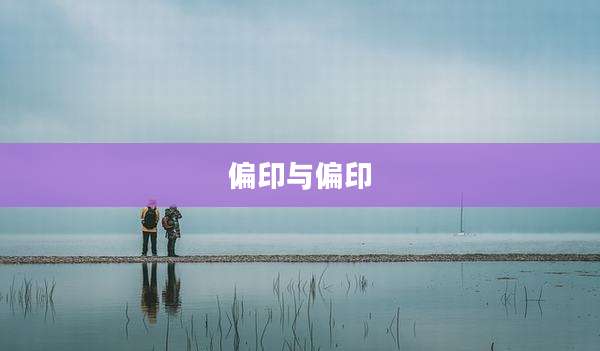 偏印与偏印