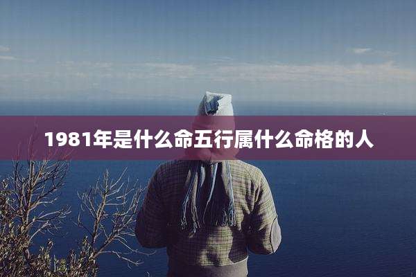 1981年是什么命五行属什么命格的人