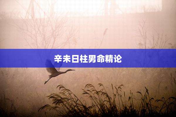 辛未日柱男命精论