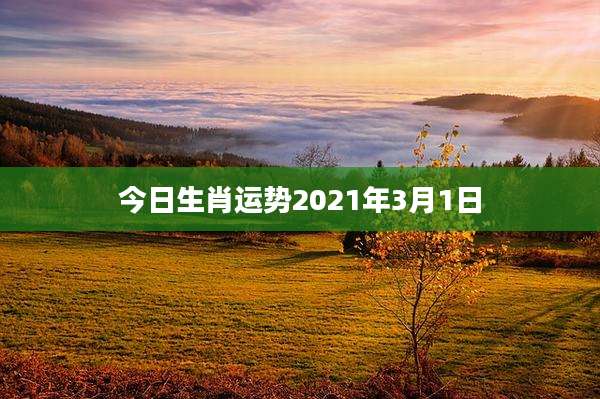 今日生肖运势2021年3月1日