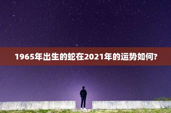 1965年出生的蛇在2021年的运势如何?