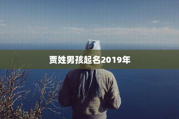贾姓男孩起名2019年