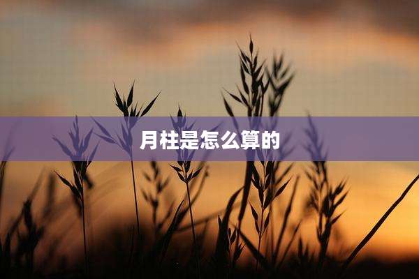 月柱是怎么算的
